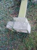 image of grave number 377999